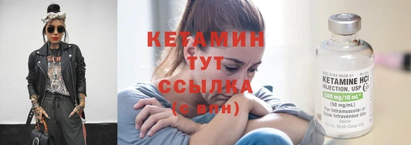 стаф Заводоуковск