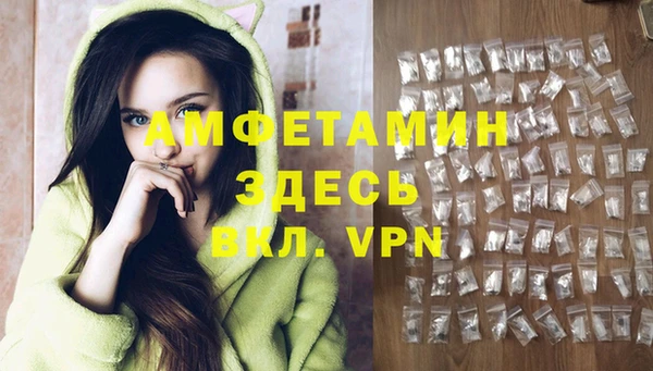 стаф Заводоуковск