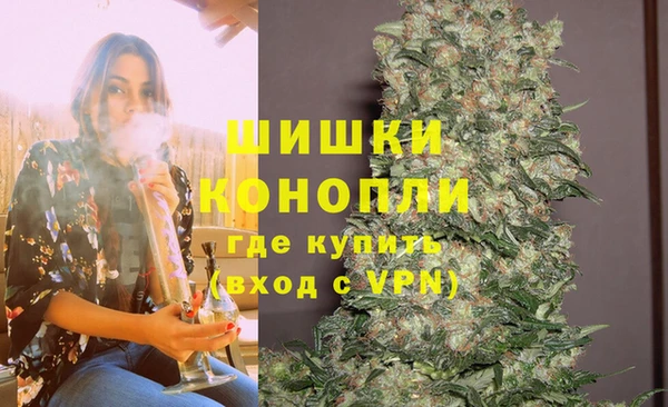 стаф Заводоуковск