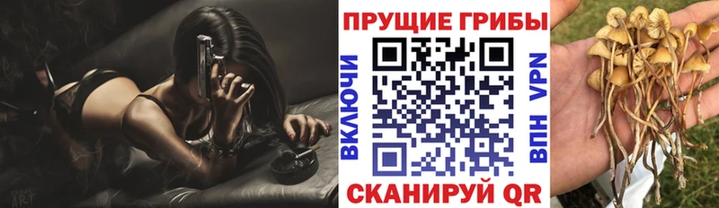 Галлюциногенные грибы мицелий Барыш